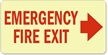 Emergency Fire Exit Sign