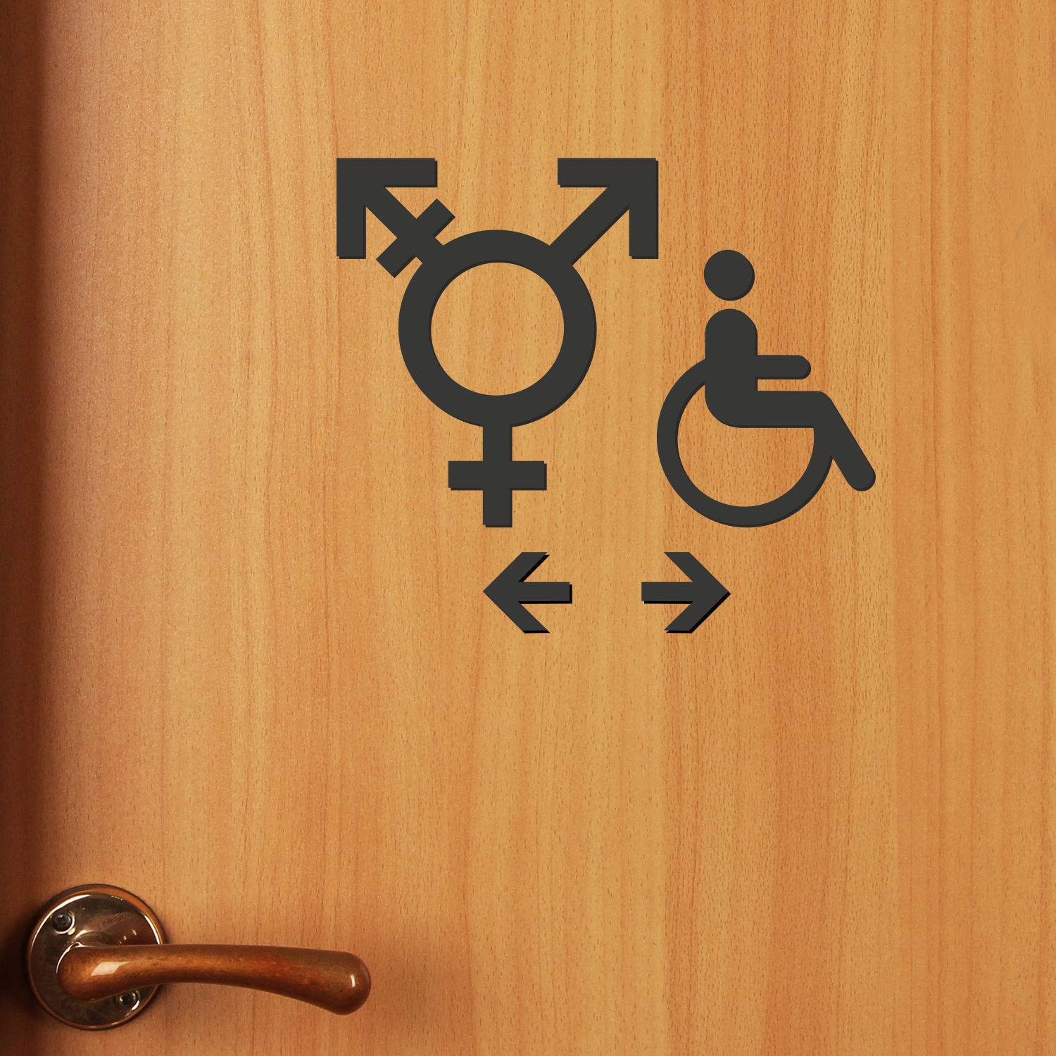 Handicap Gender Neutral Symbol Restroom Die Cut Sign Kit, SKU: SE-6907